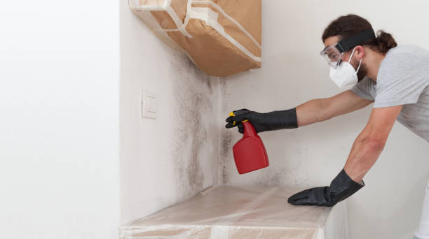 Professional Mold Remediation technician working in Amityville, NY