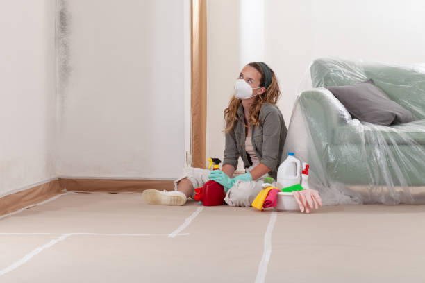 Reliable Mold Remediation contractor in Amityville, NY by WQB Mold Removal